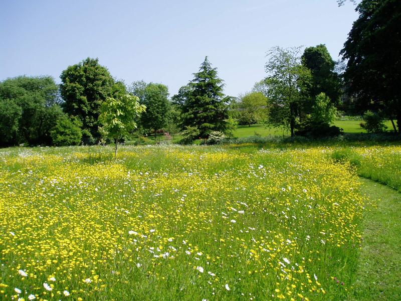 Coton Manor Garden